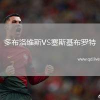 多布洛维斯VS塞斯基布罗特