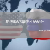 格德勒VS豪伊杜纳纳什