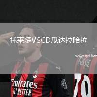 托莱多VSCD瓜达拉哈拉