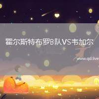 霍尔斯特布罗B队VS韦加尔
