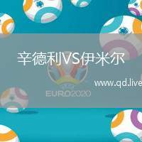 辛德利VS伊米尔