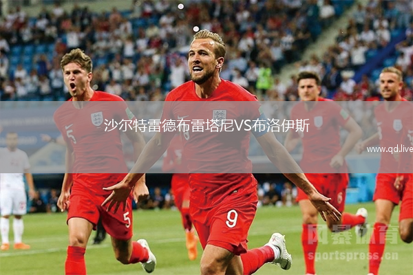沙尔特雷德布雷塔尼VS布洛伊斯