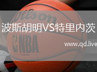 波斯胡明VS特里内茨
