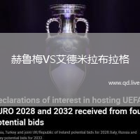 赫鲁梅VS艾德米拉布拉格