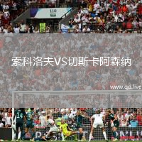 索科洛夫VS切斯卡阿森纳