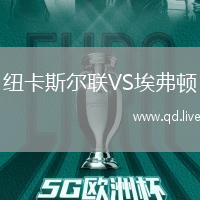 纽卡斯尔联VS埃弗顿