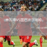 费瓦德VS图巴波尔海姆