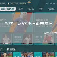 汉堡二队VS托德斯费尔德