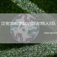 汉密尔顿学院VS凯尔特人B队