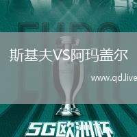 斯基夫VS阿玛盖尔