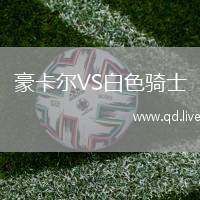 豪卡尔VS白色骑士