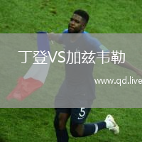 丁登VS加兹韦勒