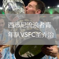 西悉尼流浪者青年队VSFC圣乔治