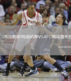 CS布加勒斯特迪纳摩VSAFC梅塔鲁布佐
