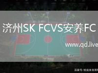 济州SK FCVS安养FC