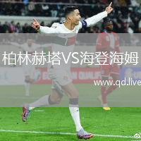 柏林赫塔VS海登海姆