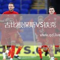 古比根保斯VS铁克