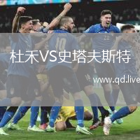 杜禾VS史塔夫斯特
