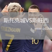 斯托克城VS斯旺西