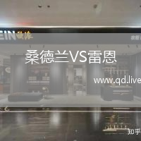 桑德兰VS雷恩