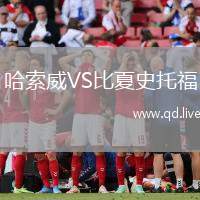 哈索威VS比夏史托福