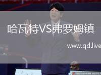 哈瓦特VS弗罗姆镇