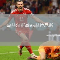 乌赫尔斯基VS赫拉尼斯