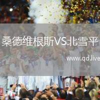 桑德维根斯VS北雪平