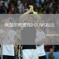 埃涅尔格提克BGUVS利达
