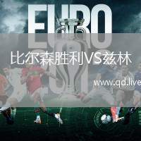比尔森胜利VS兹林
