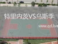 特里内茨VS乌斯季