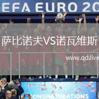 萨比诺夫VS诺瓦维斯