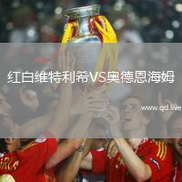 红白维特利希VS奥德恩海姆