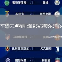 斯洛云卢布尔雅那VS贝尔廷齐