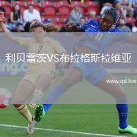 利贝雷茨VS布拉格斯拉维亚