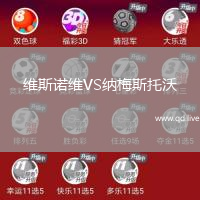 维斯诺维VS纳梅斯托沃