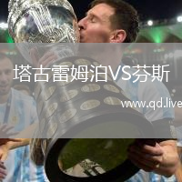 塔古雷姆泊VS芬斯