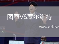 图恩VS塞尔维特